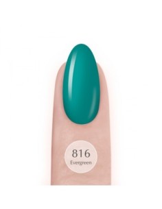 816 Evergreen… UV LaQ 8ml - 1 - Categories -  2