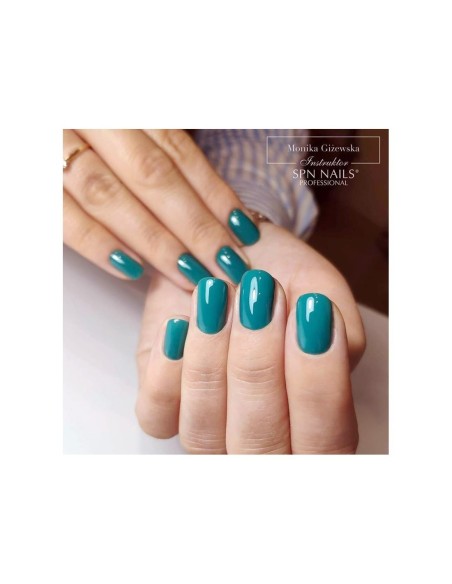 816 Evergreen… UV LaQ 8ml - 3 - Categories -