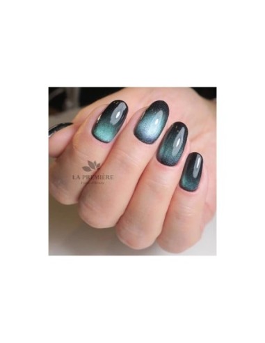 Cat Eye 5D #006 NaiLac 7ml