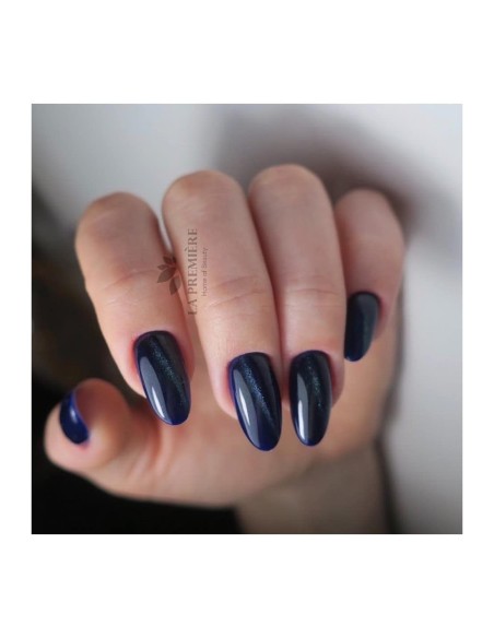 Cat Eye 5D #008 NaiLac 7ml