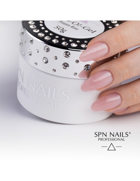 Acryl-O!-Gel Frozen Rose 20g - 4 - Categories -