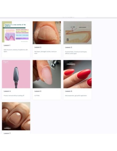 PRO Scissors- ONLINE COURSE ABT Accredited - 1 - Categories - 