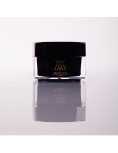 Mino Vo Acrylic Powder 50g - Ursula 2