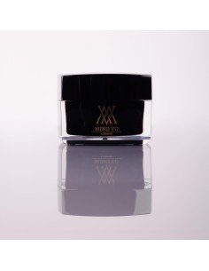 Mino Vo Acrylic Powder 50g - Ursula 2